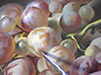 Claret Grapes 3d Video Workshop (PDF)